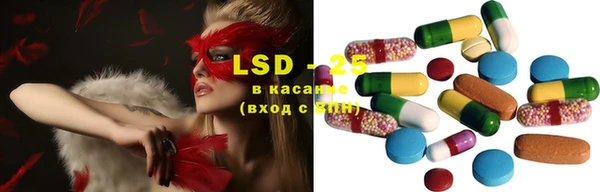 ПСИЛОЦИБИНОВЫЕ ГРИБЫ Алзамай