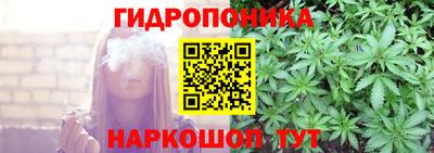 крисы Волжск