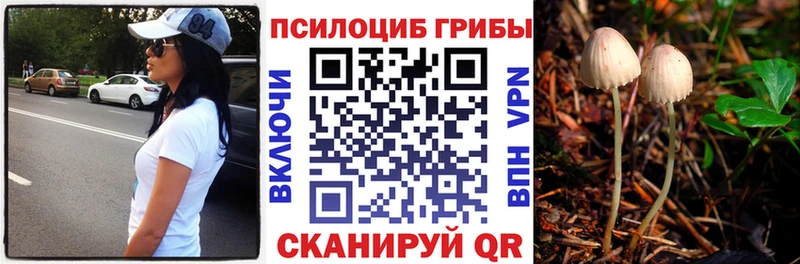 Псилоцибиновые грибы ЛСД  Гусь-Хрустальный 