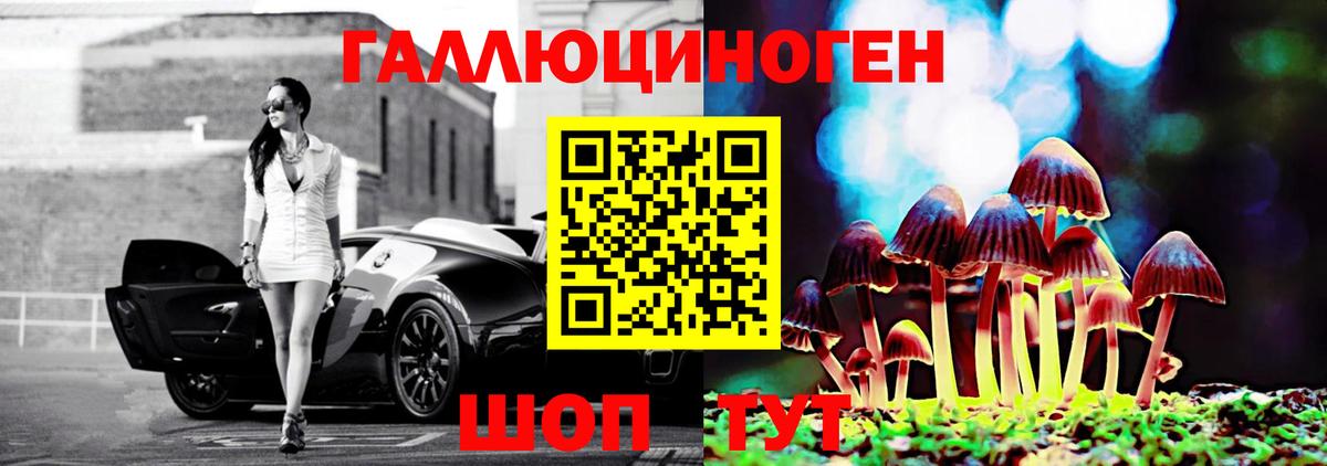 Галлюциногенные грибы Psilocybe  Вход с VPN  Гусь-Хрустальный 
