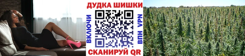 Бошки Шишки семена  купить наркотики сайты  Гусь-Хрустальный 
